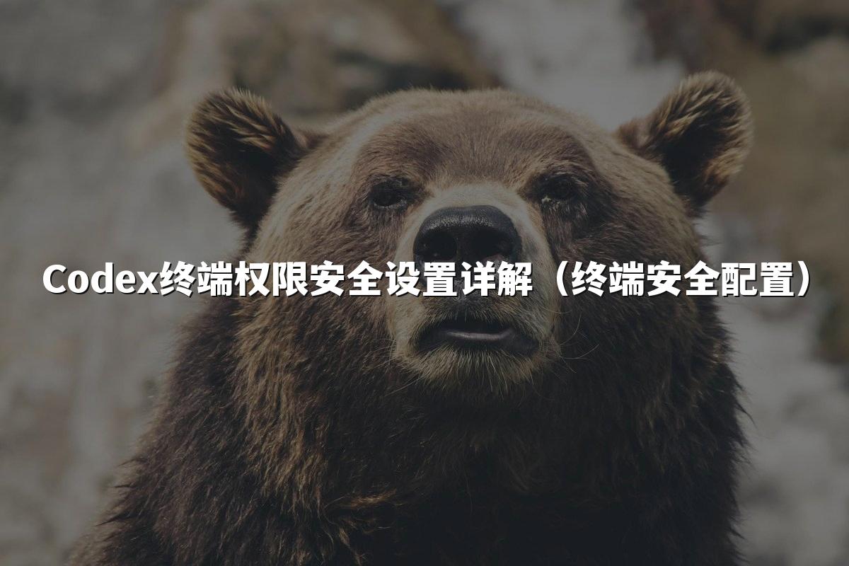 Codex终端权限安全设置详解（终端安全配置）