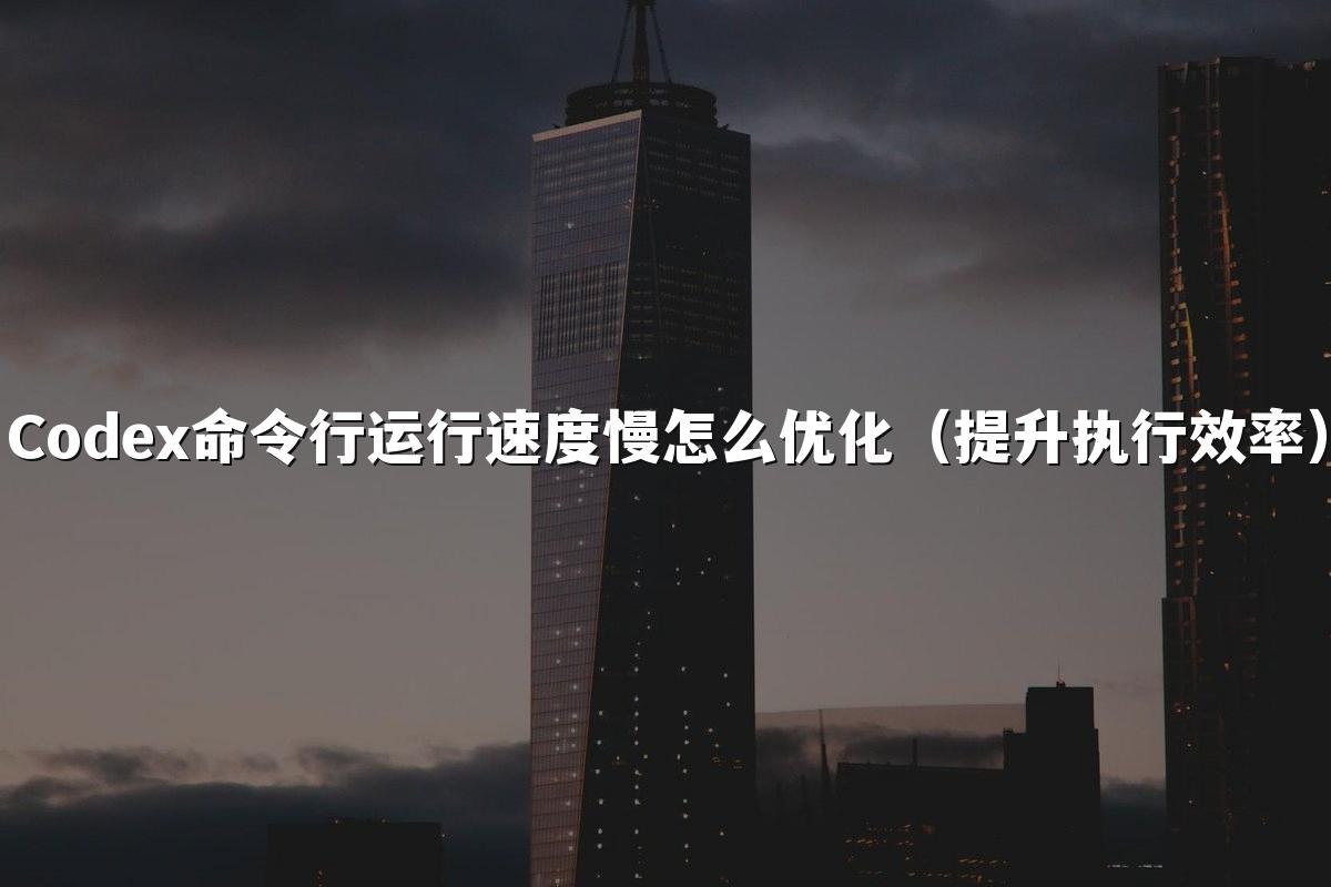 Codex命令行运行速度慢怎么优化（提升执行效率）