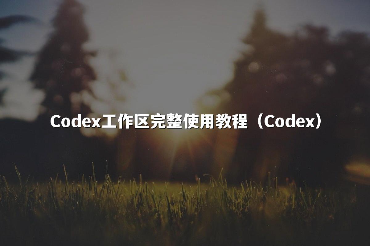 Codex工作区完整使用教程（Codex）