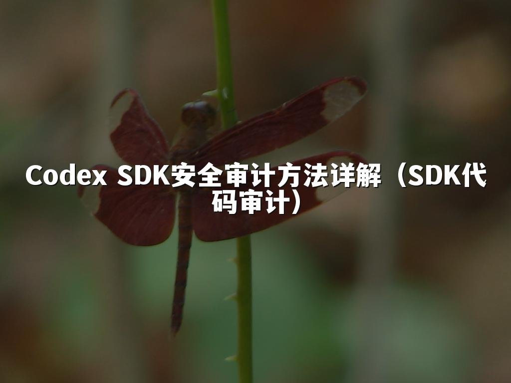 Codex SDK安全审计方法详解(SDK代码审计)