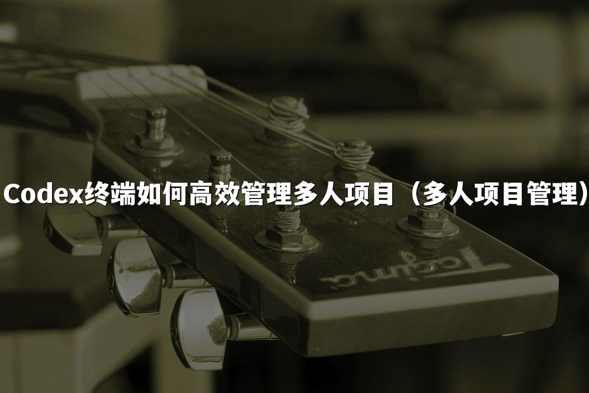 Codex终端如何高效管理多人项目(多人项目管理)