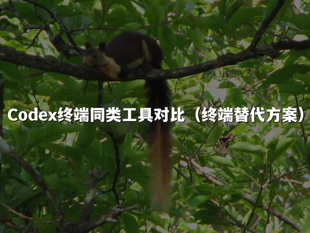 Codex终端同类工具对比(终端替代方案)