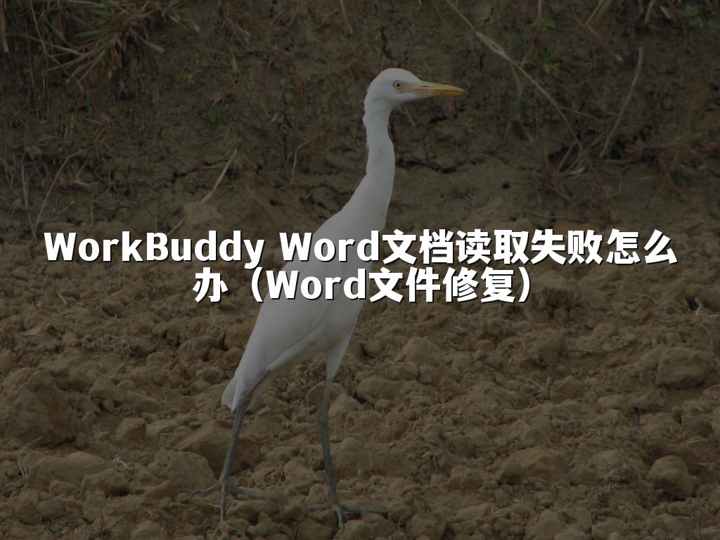 WorkBuddy Word文档读取失败怎么办（Word文件修复）