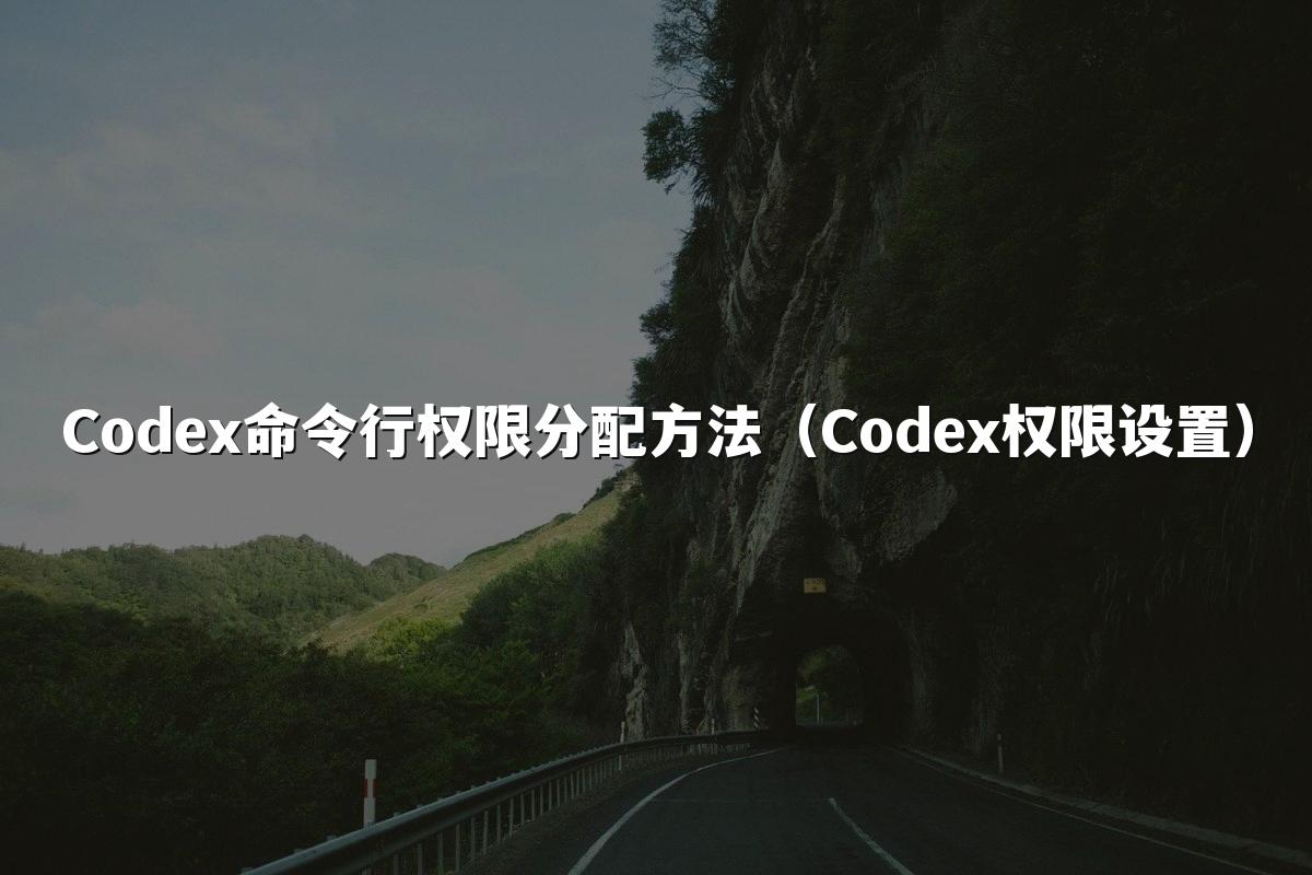 Codex命令行权限分配方法(Codex权限设置)