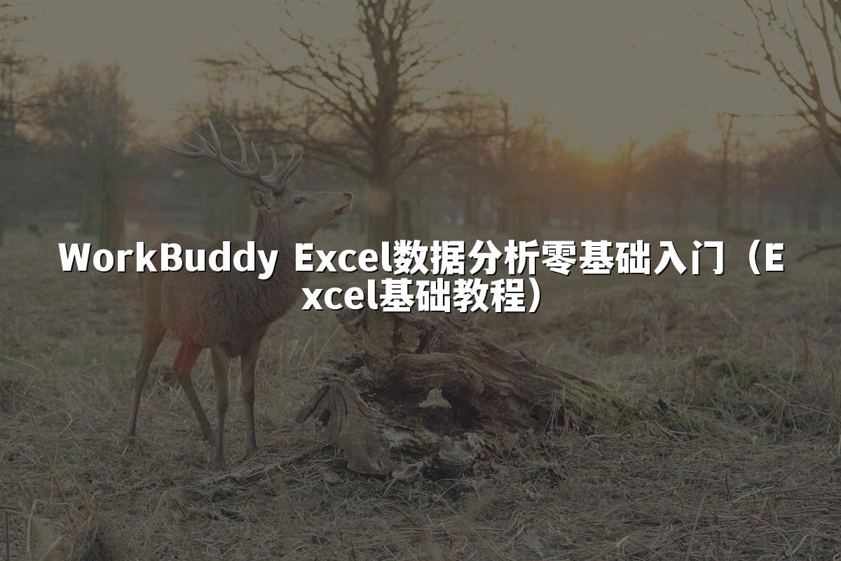 WorkBuddy Excel数据分析零基础入门（Excel基础教程）