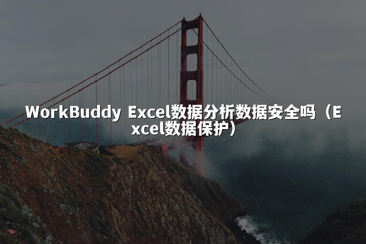 WorkBuddy Excel数据分析数据安全吗（Excel数据保护）