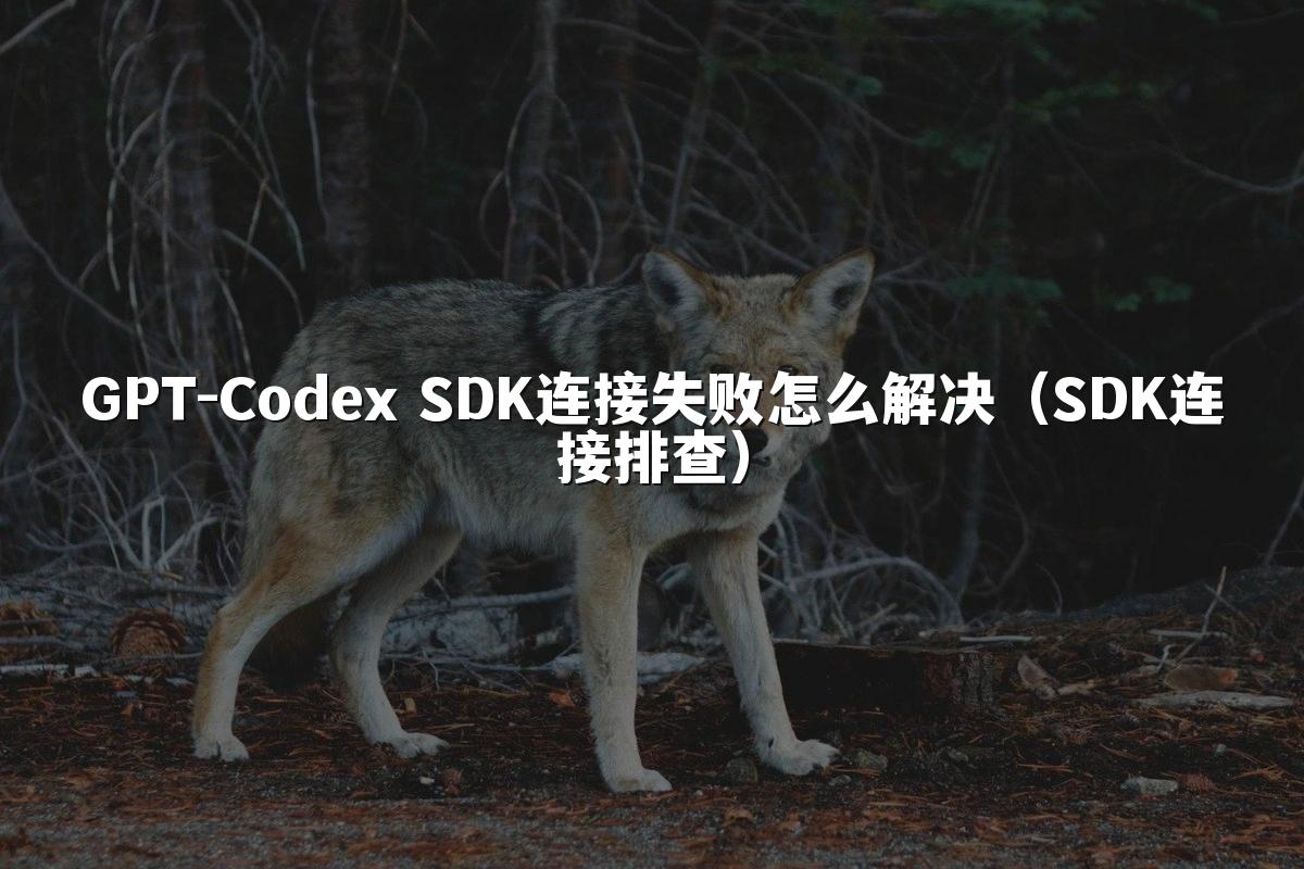 GPT-Codex SDK连接失败怎么解决（SDK连接排查）