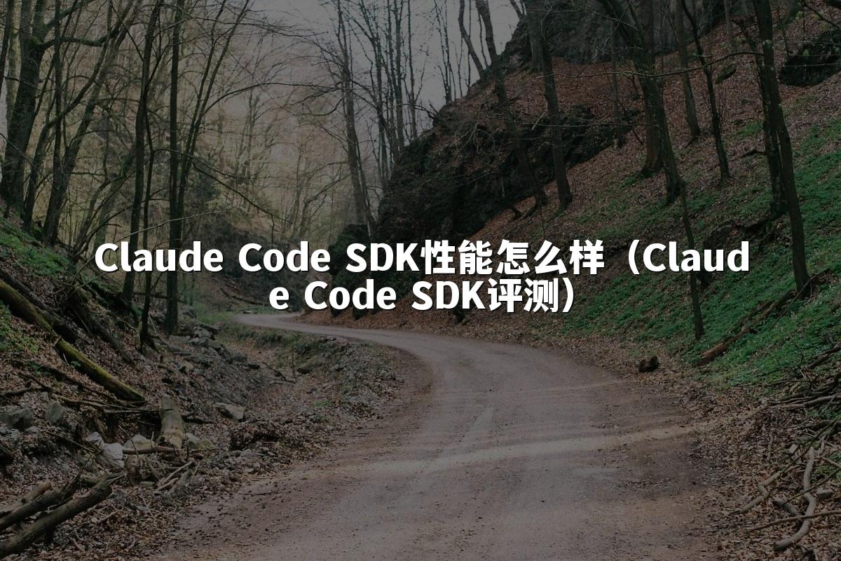 Claude Code SDK性能怎么样（Claude Code SDK评测）