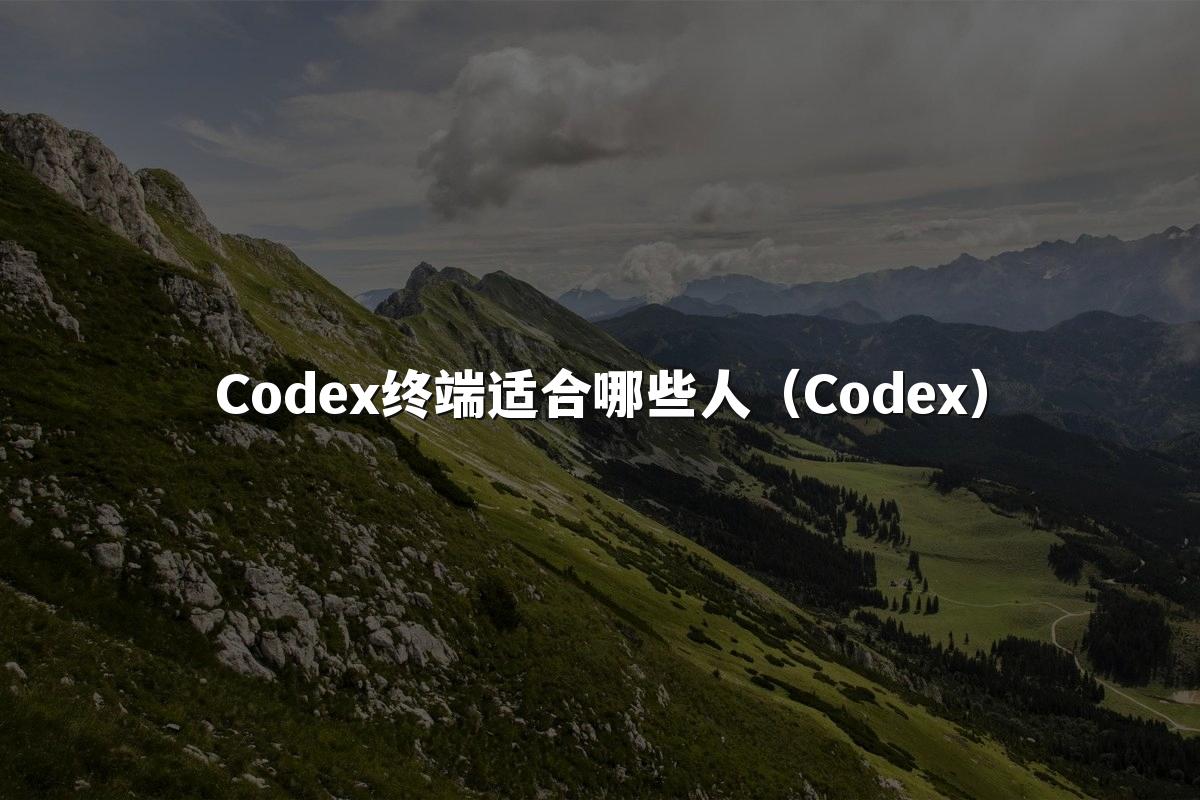 Codex终端适合哪些人(Codex)