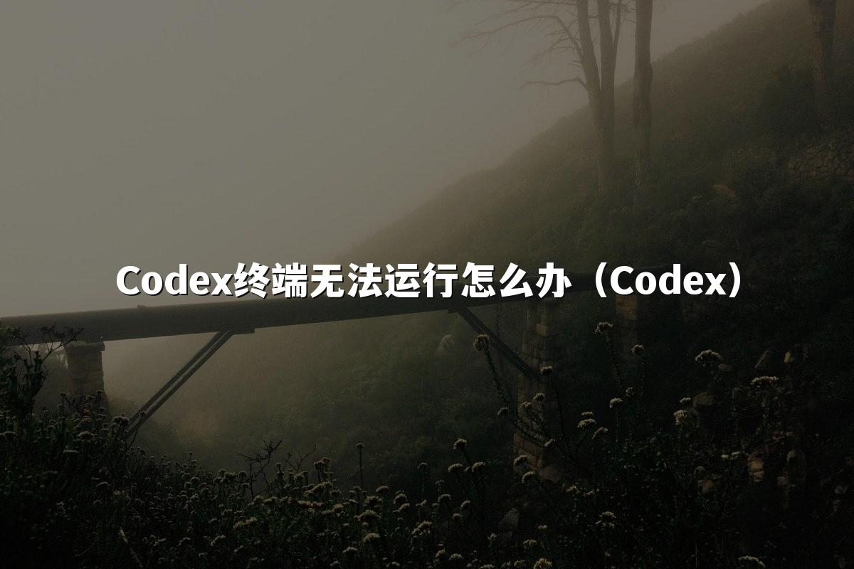 Codex终端无法运行怎么办(Codex)