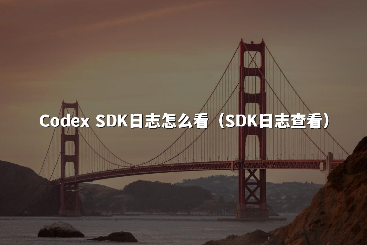 Codex SDK日志怎么看（SDK日志查看）