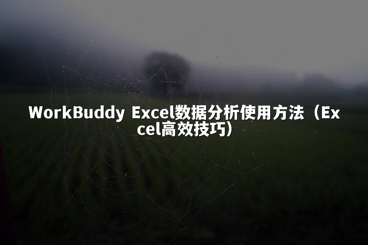 WorkBuddy Excel数据分析使用方法（Excel高效技巧）