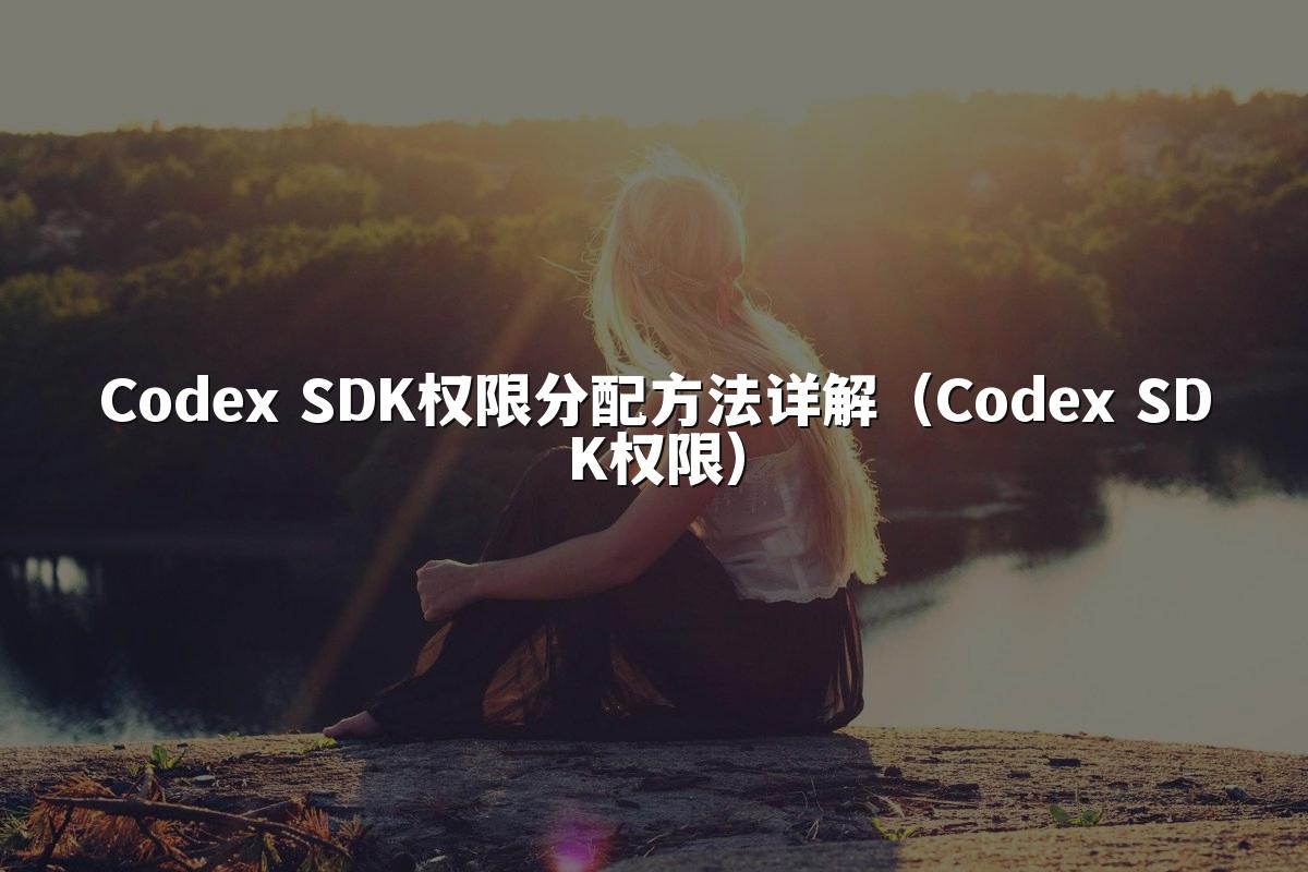 Codex SDK权限分配方法详解（Codex SDK权限）
