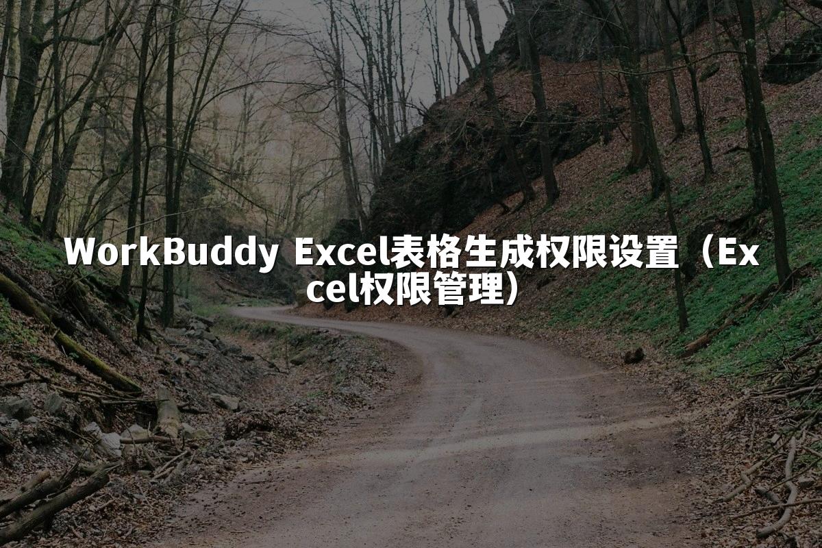 WorkBuddy Excel表格生成权限设置(Excel权限管理)