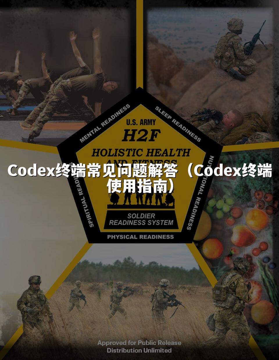 Codex终端常见问题解答(Codex终端使用指南)