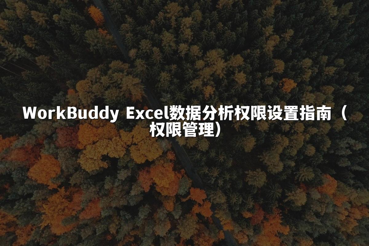 WorkBuddy Excel数据分析权限设置指南(权限管理)