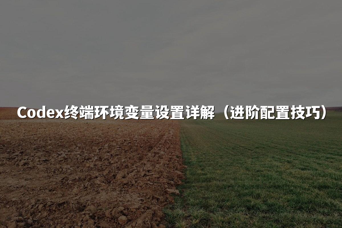 Codex终端环境变量设置详解（进阶配置技巧）