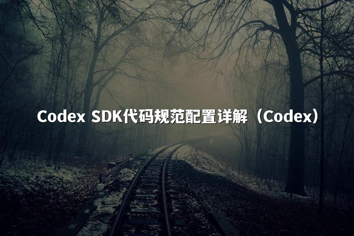 Codex SDK代码规范配置详解(Codex)