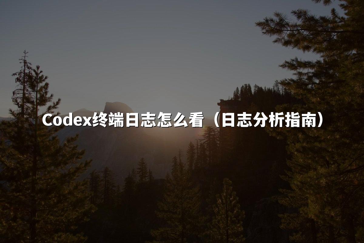 Codex终端日志怎么看（日志分析指南）