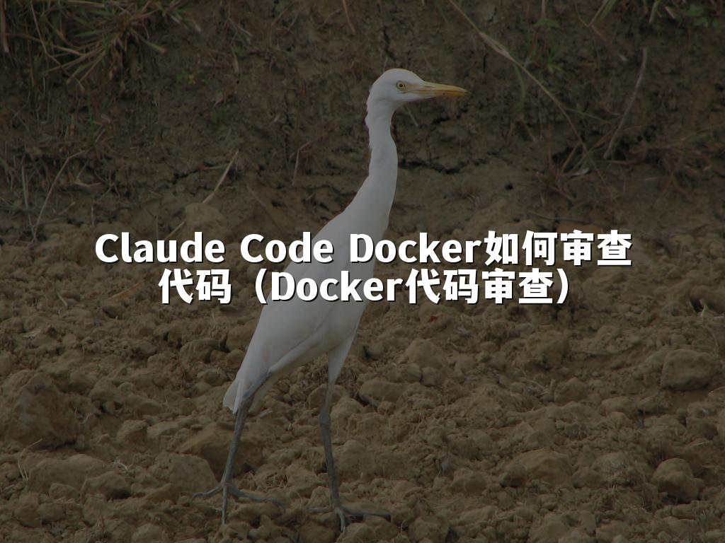 Claude Code Docker如何审查代码(Docker代码审查)