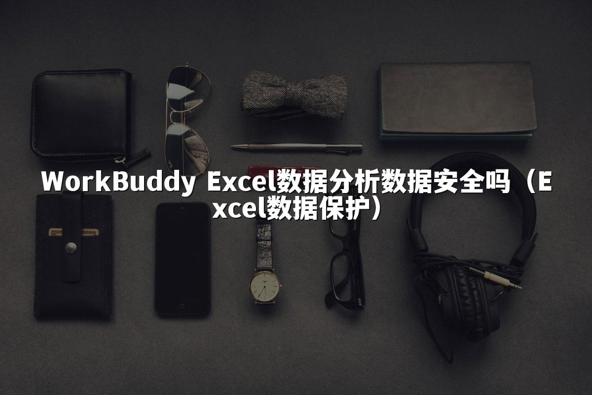 WorkBuddy Excel数据分析数据安全吗（Excel数据保护）