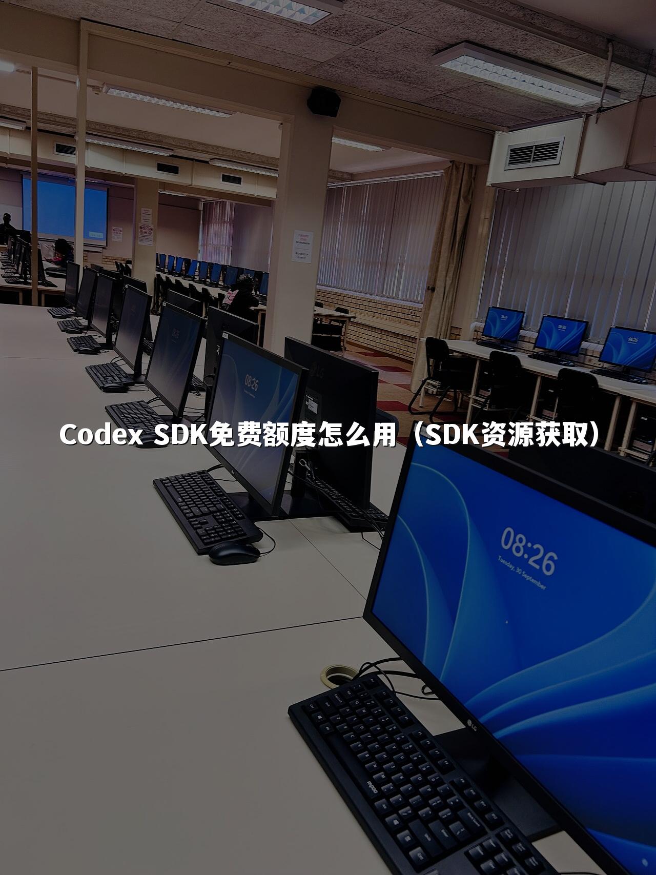 Codex SDK免费额度怎么用(SDK资源获取)