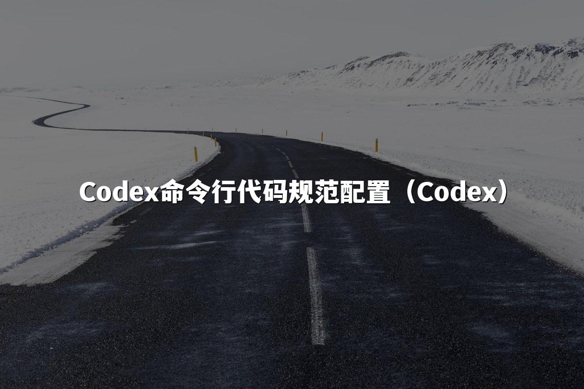 Codex命令行代码规范配置(Codex)