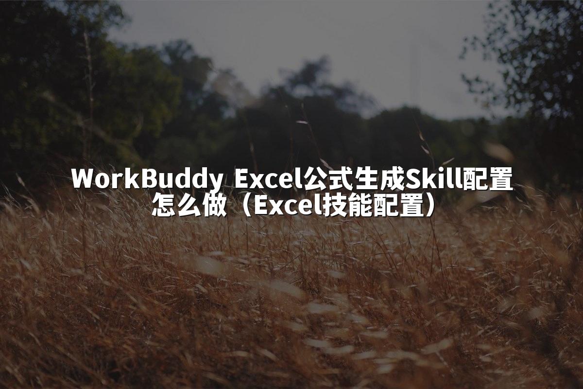 WorkBuddy Excel公式生成Skill配置怎么做（Excel技能配置）