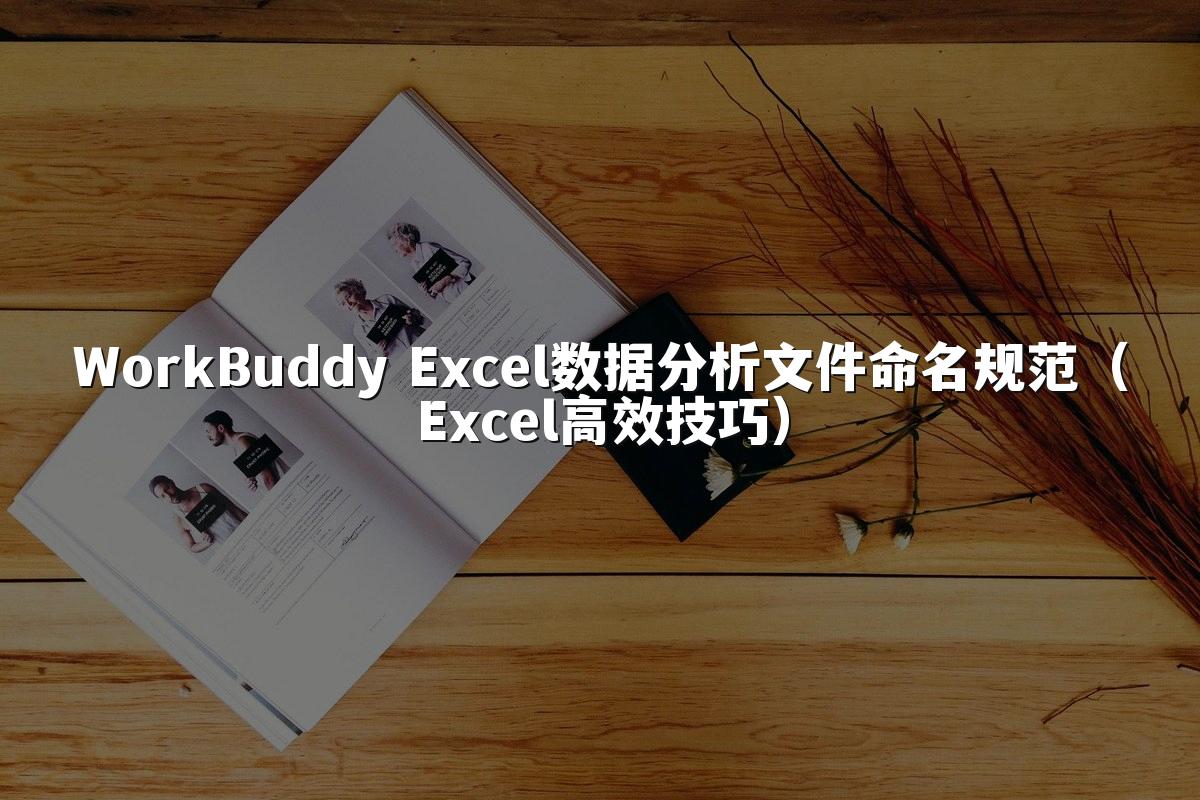 WorkBuddy Excel数据分析文件命名规范（Excel高效技巧）