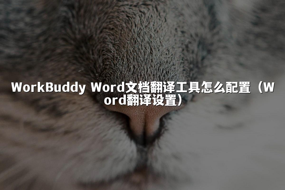 WorkBuddy Word文档翻译工具怎么配置(Word翻译设置)