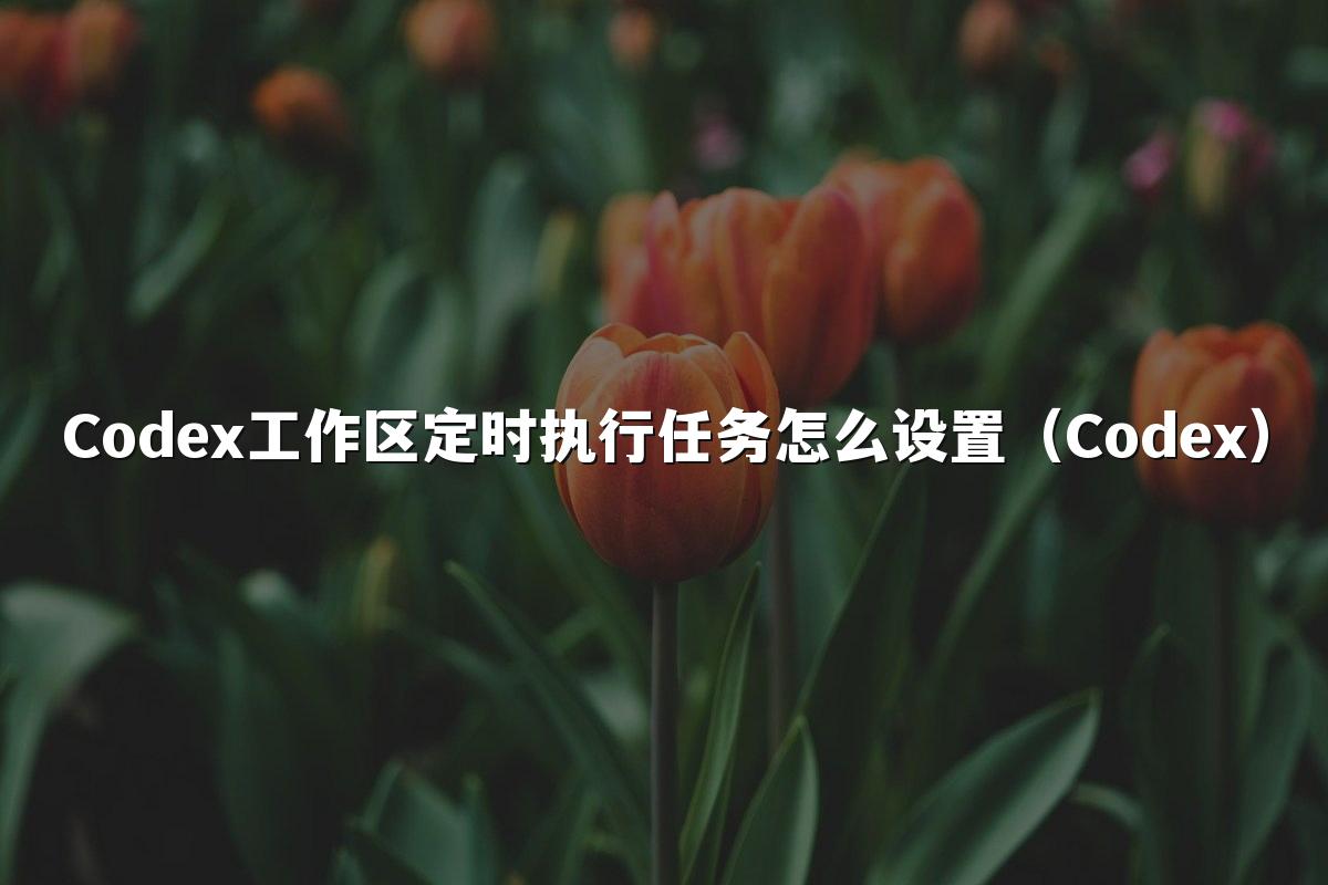 Codex工作区定时执行任务怎么设置（Codex）