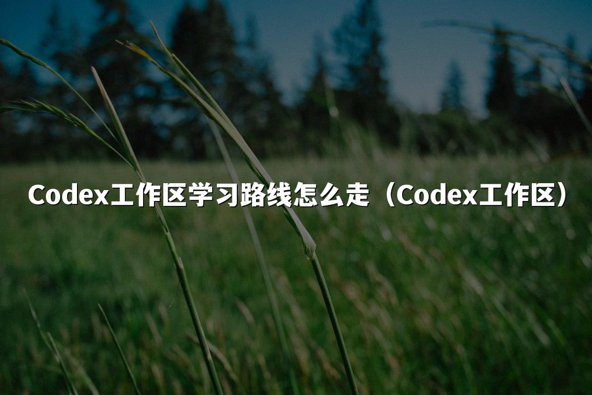 Codex工作区学习路线怎么走（Codex工作区）