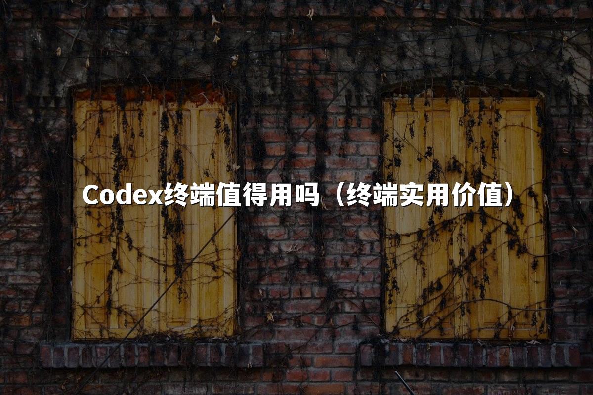 Codex终端值得用吗（终端实用价值）