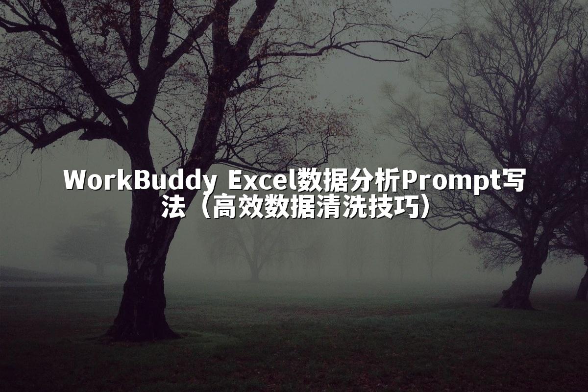 WorkBuddy Excel数据分析Prompt写法（高效数据清洗技巧）