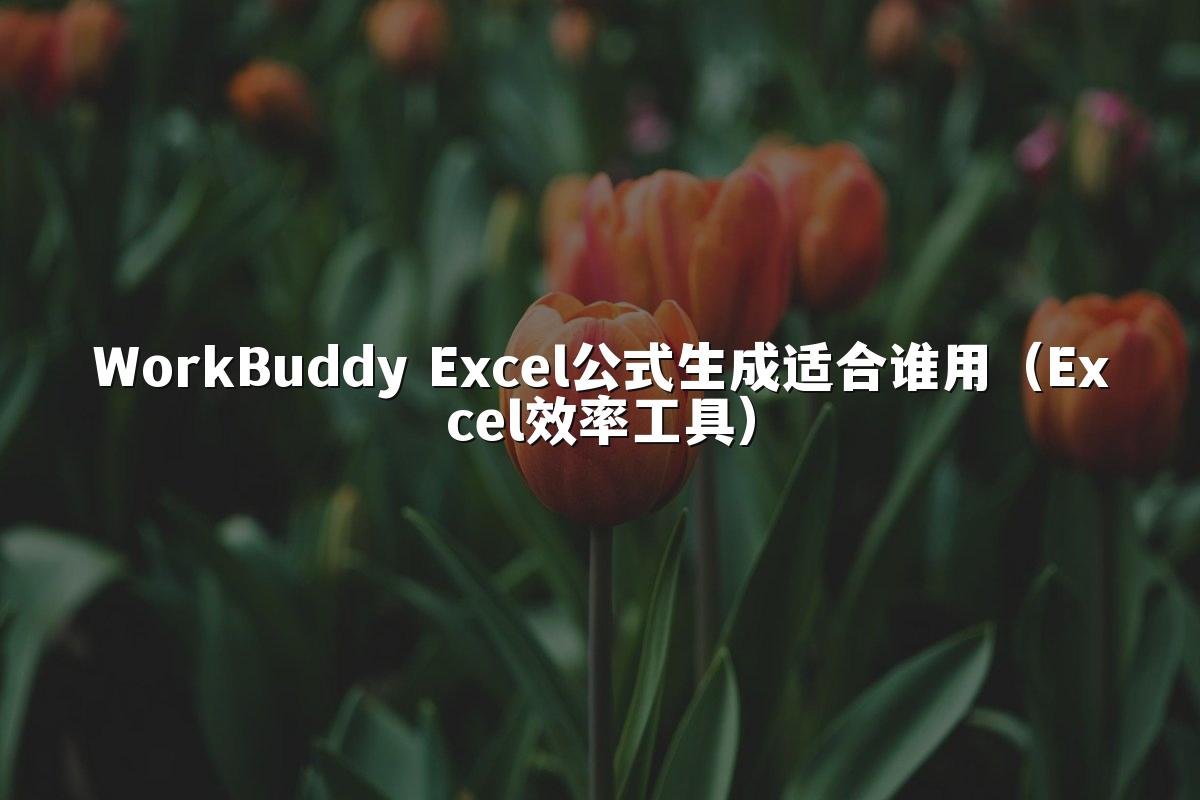 WorkBuddy Excel公式生成适合谁用(Excel效率工具)