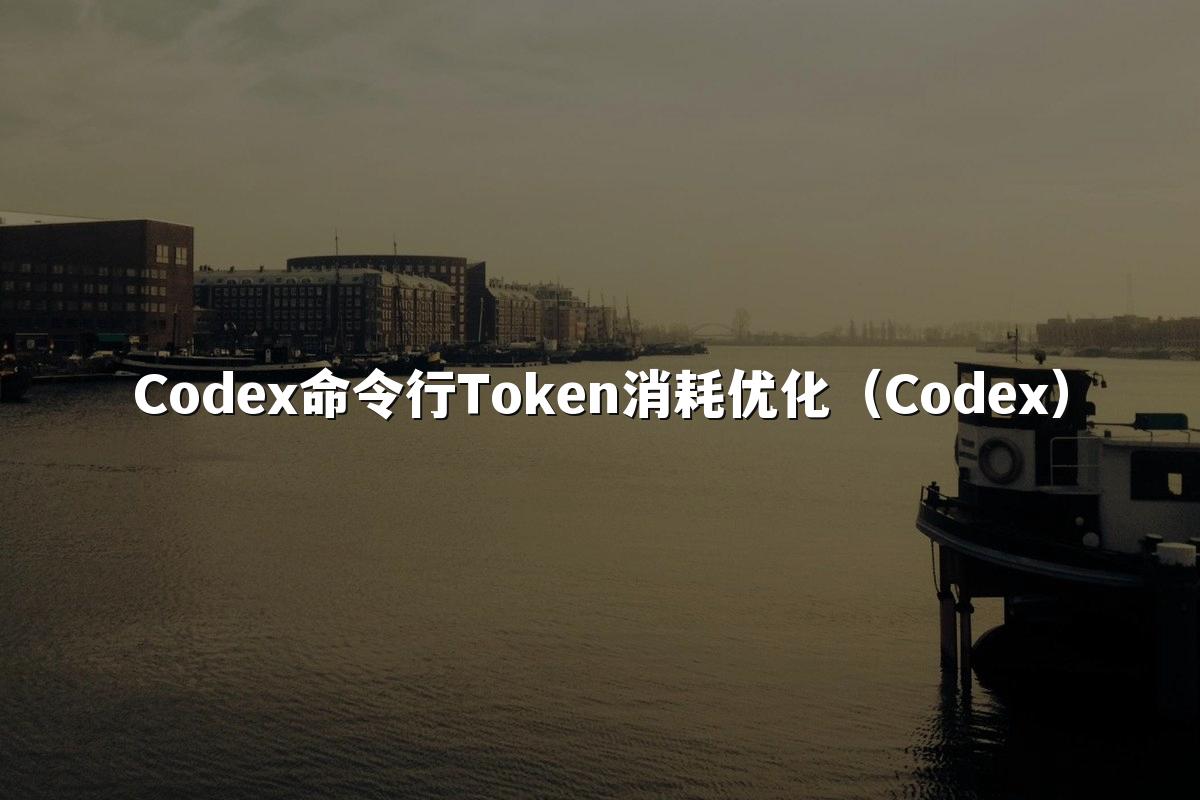 Codex命令行Token消耗优化（Codex）