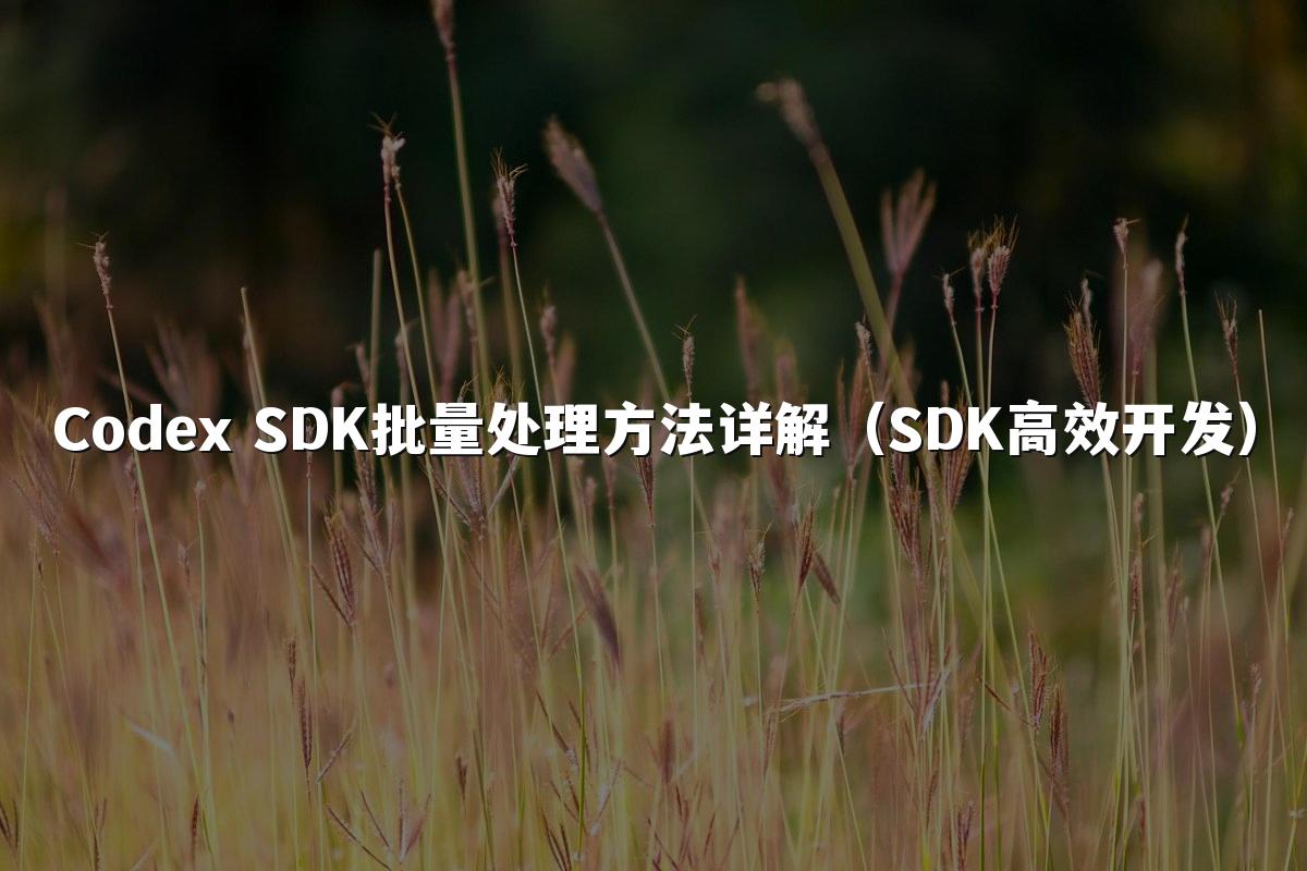 Codex SDK批量处理方法详解(SDK高效开发)