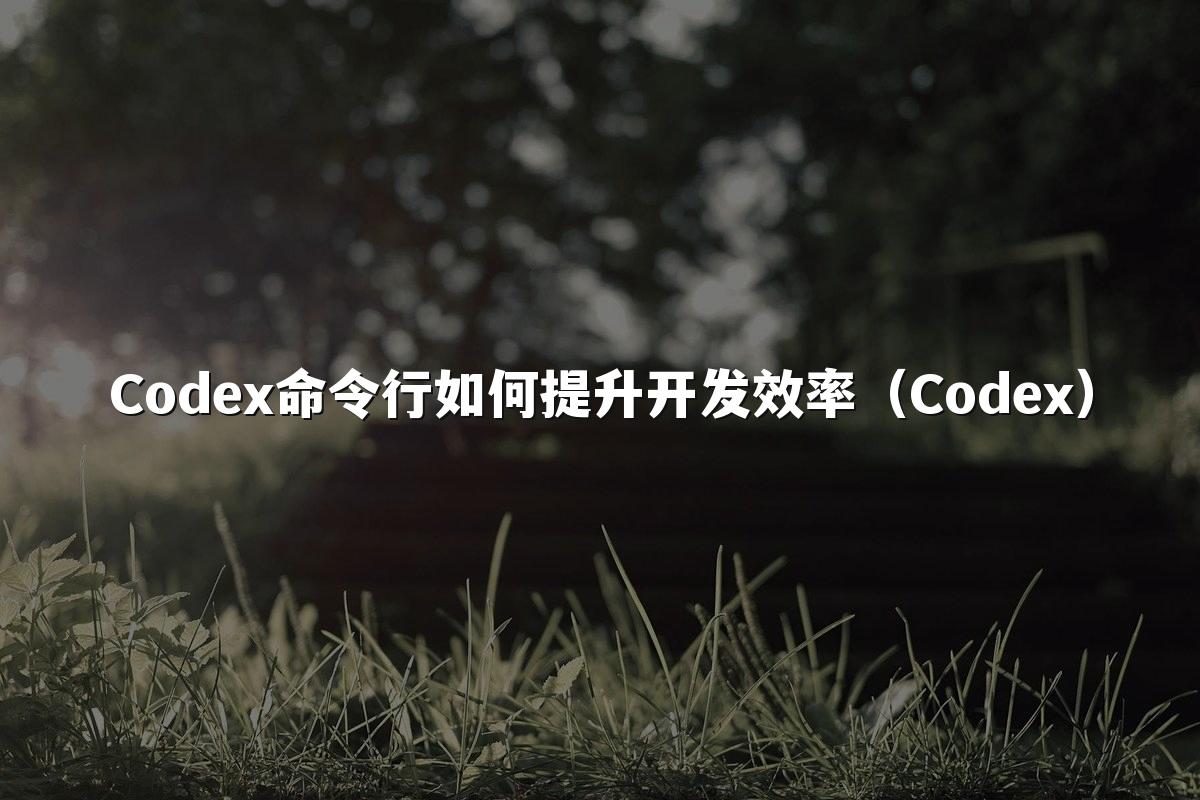 Codex命令行如何提升开发效率（Codex）