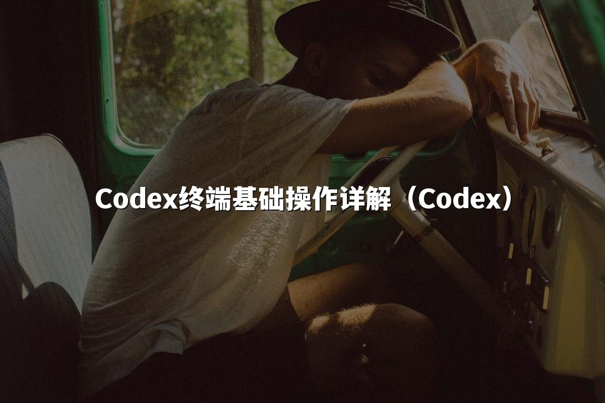 Codex终端基础操作详解（Codex）