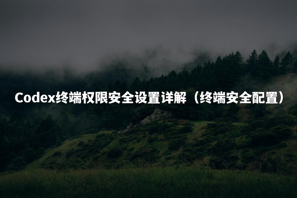 Codex终端权限安全设置详解（终端安全配置）