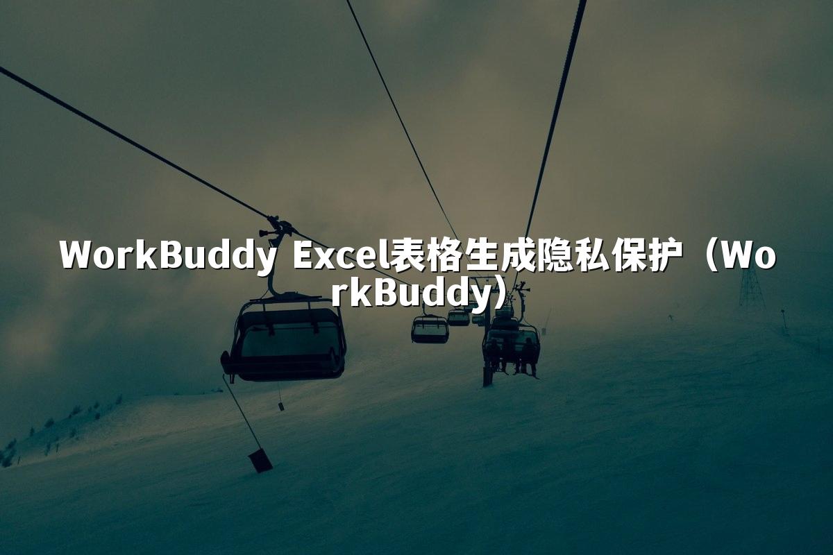 WorkBuddy Excel表格生成隐私保护（WorkBuddy）