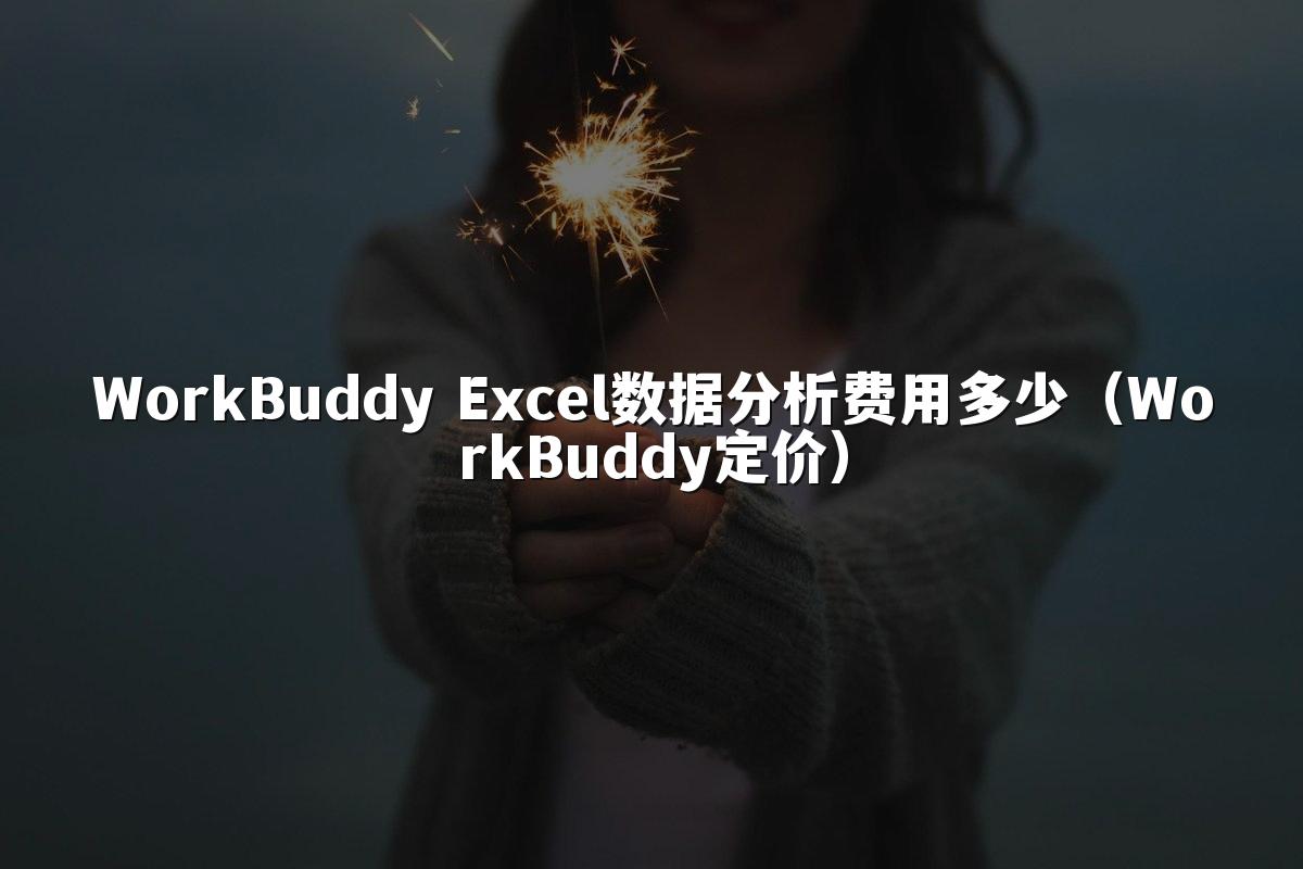 WorkBuddy Excel数据分析费用多少(WorkBuddy定价)