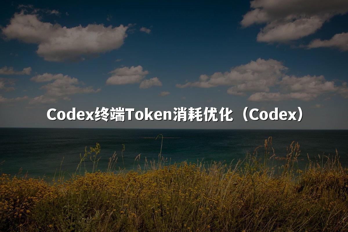 Codex终端Token消耗优化(Codex)