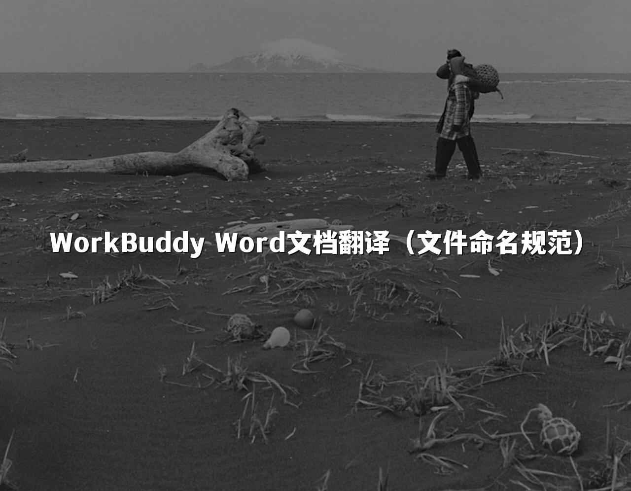 WorkBuddy Word文档翻译(文件命名规范)