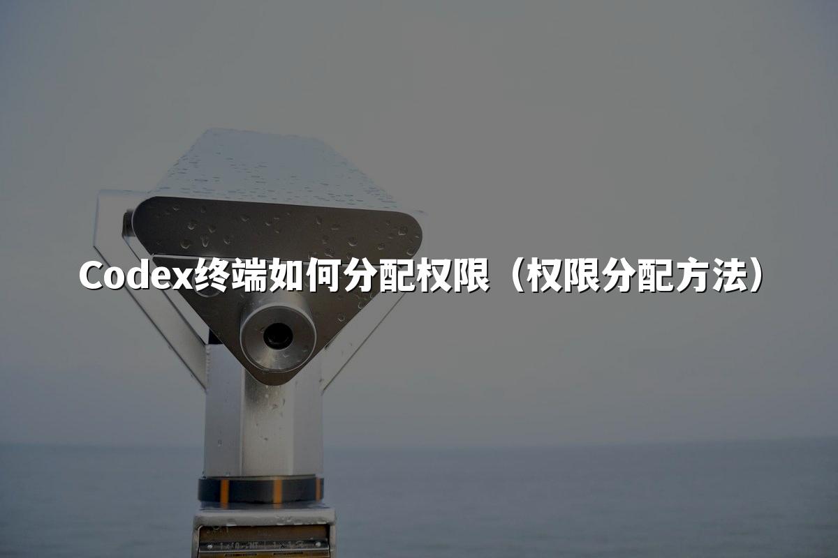 Codex终端如何分配权限(权限分配方法)