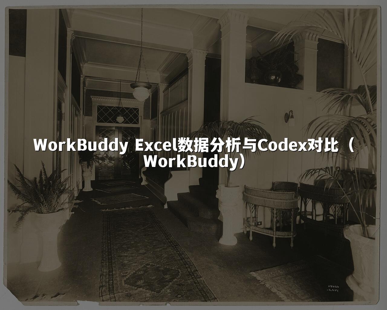 WorkBuddy Excel数据分析与Codex对比(WorkBuddy)