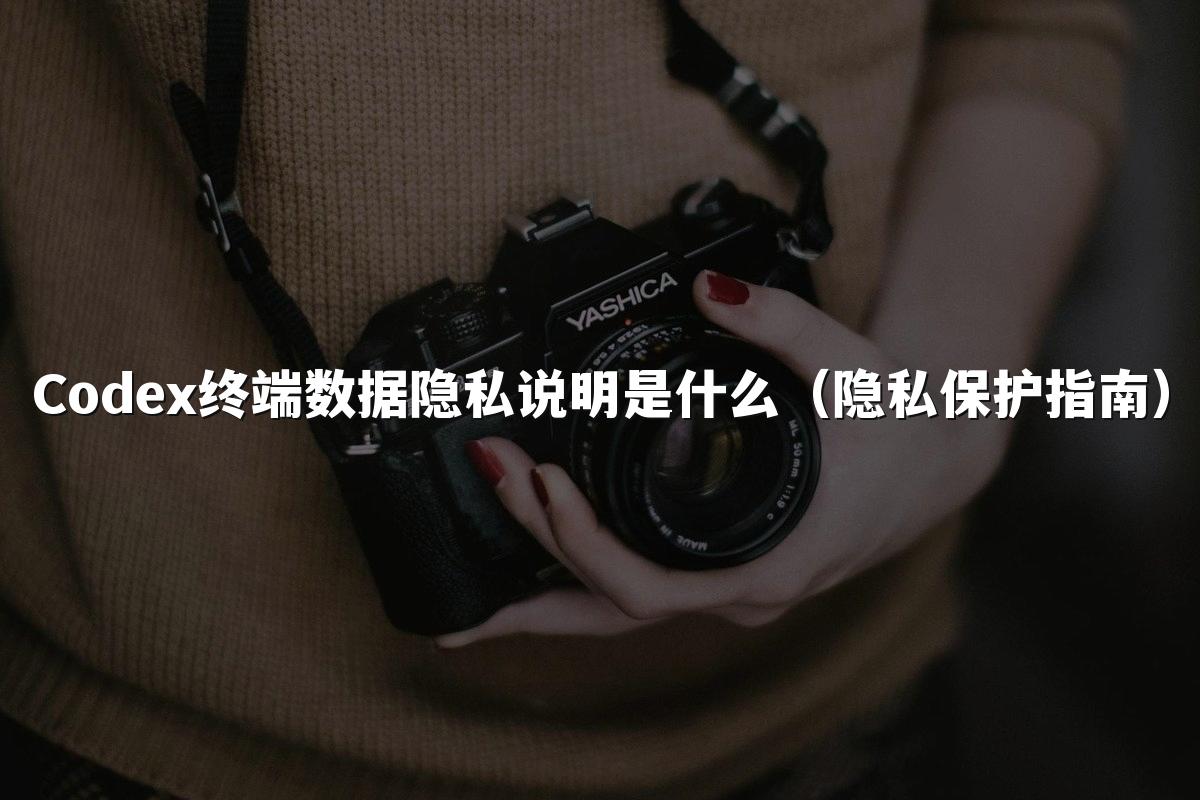 Codex终端数据隐私说明是什么（隐私保护指南）
