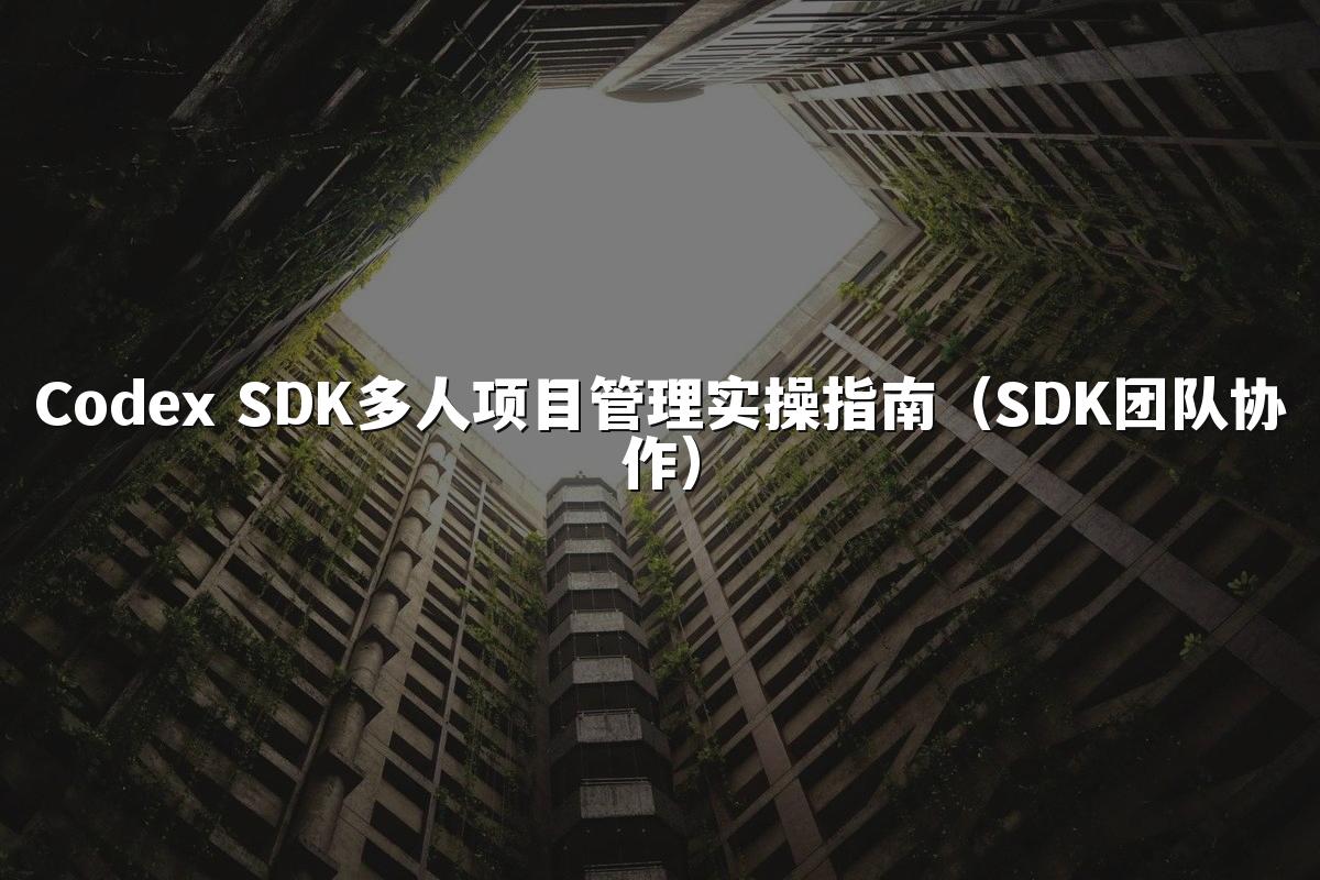 Codex SDK多人项目管理实操指南(SDK团队协作)