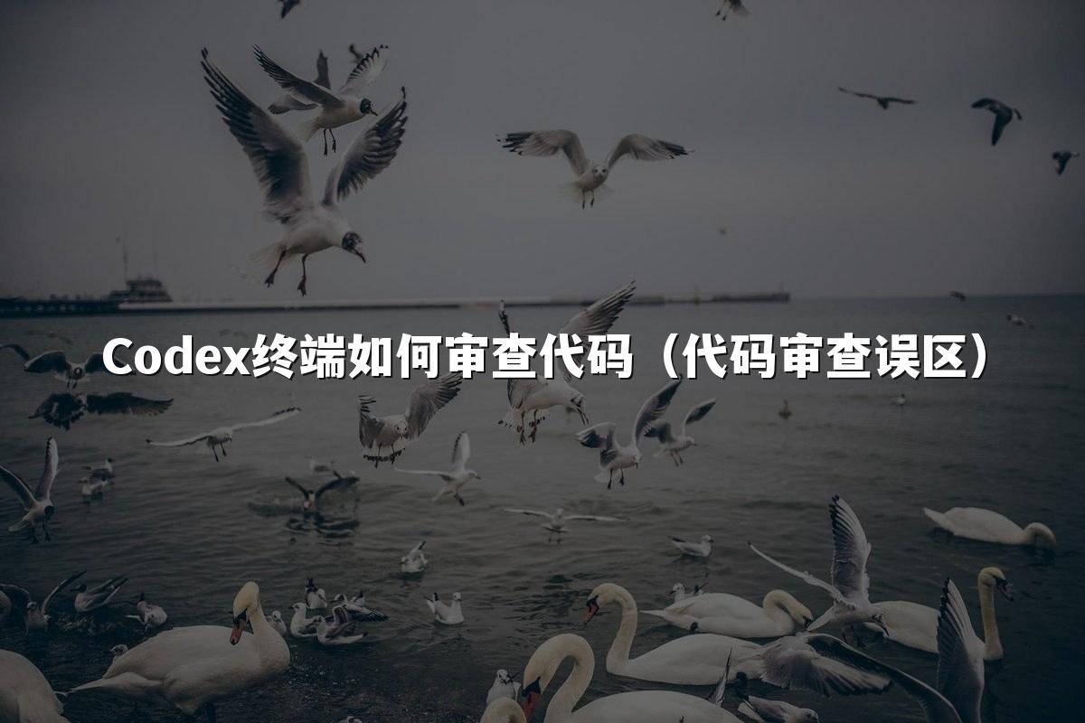 Codex终端如何审查代码（代码审查误区）