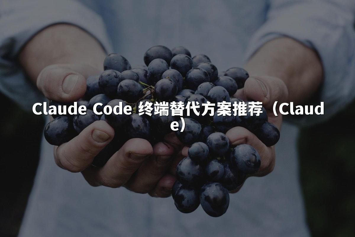 Claude Code 终端替代方案推荐（Claude）